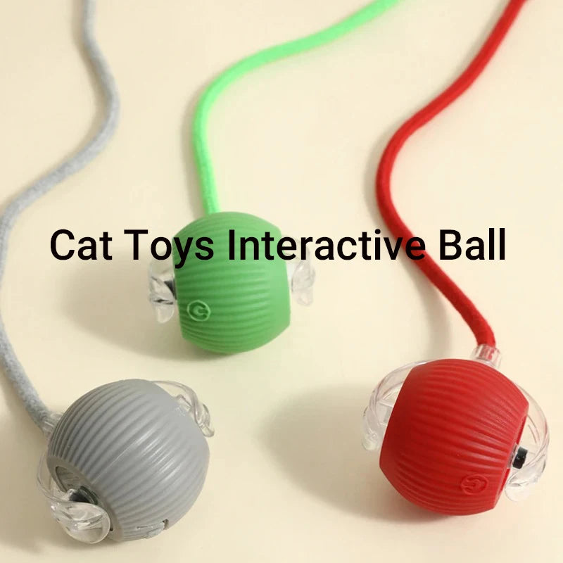 Interactive Rolling Cat Ball™