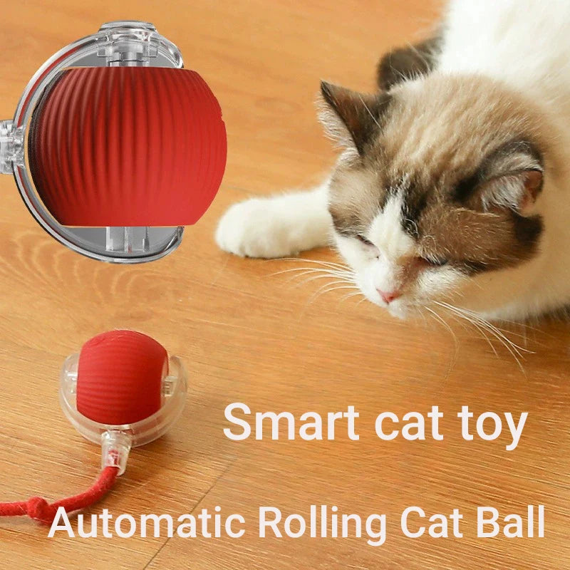 Interactive Rolling Cat Ball™