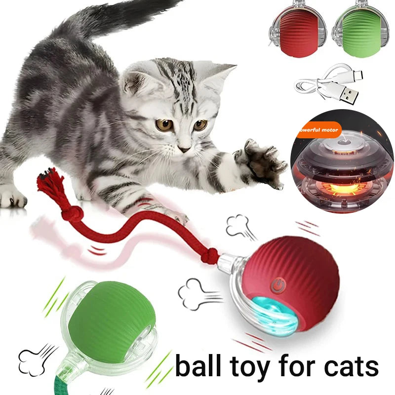 Interactive Rolling Cat Ball™