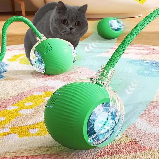 Interactive Rolling Cat Ball™