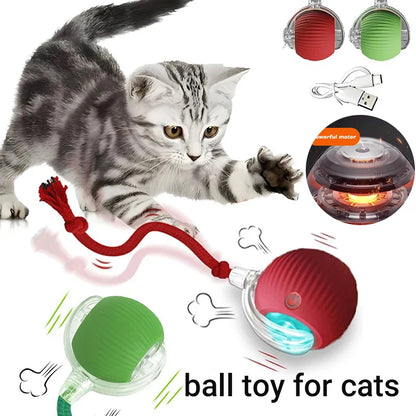 Interactive Rolling Cat Ball™