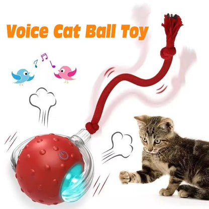 Interactive Rolling Cat Ball™
